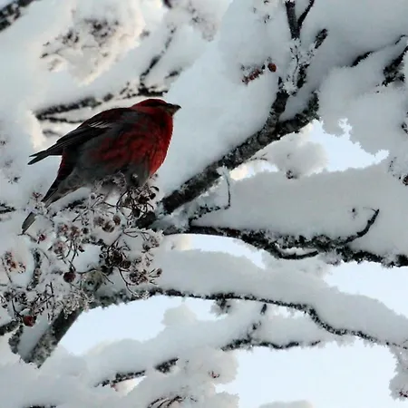 Charming Grandmas House In Bobacka Feriehus