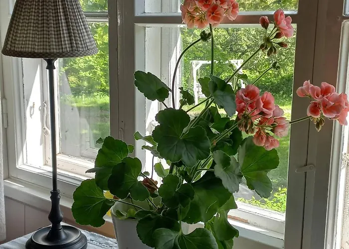 Charming Grandmas House In Bobacka 海门林纳