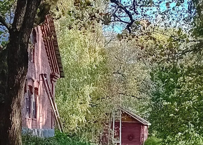 度假居 Charming Grandmas House In Bobacka 海门林纳