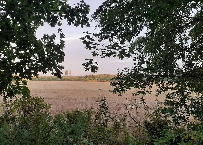 度假居 Charming Grandmas House In Bobacka